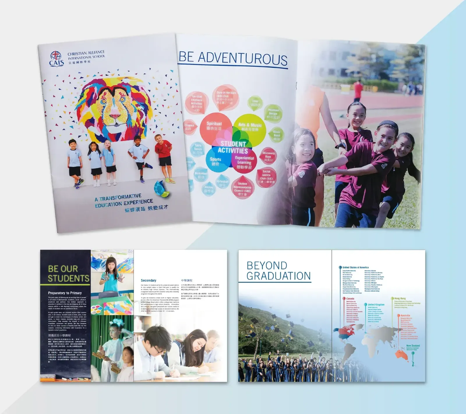 CAIS Brochure